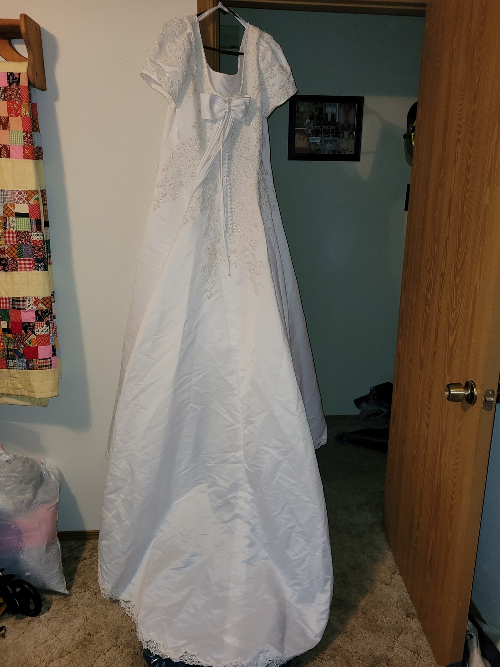Alfred Angelo White Lace-Embroidered Short Sleeve Ball Gown - Picture 14 of 16